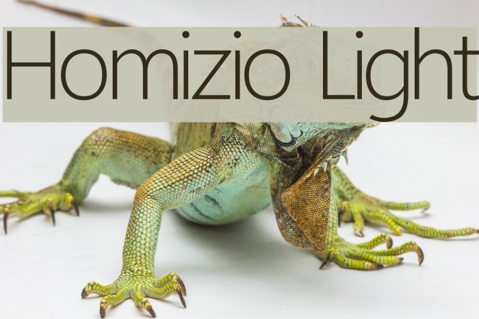 Homizio Light Font examples