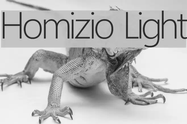 Homizio Light フォント examples