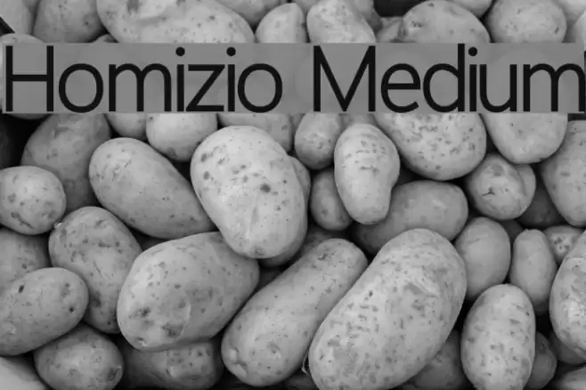 Homizio Medium Font examples