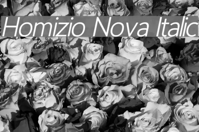 Homizio Nova Italic Font examples