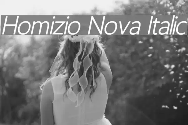 Homizio Nova Italic Font examples