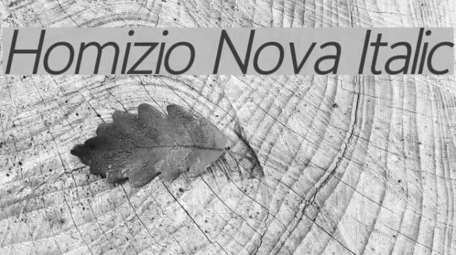 Homizio Nova Italic Font examples