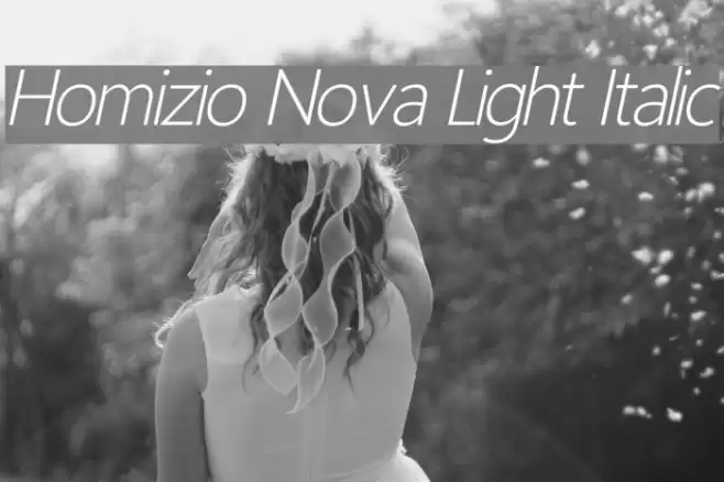 Homizio Nova Light Italic examples