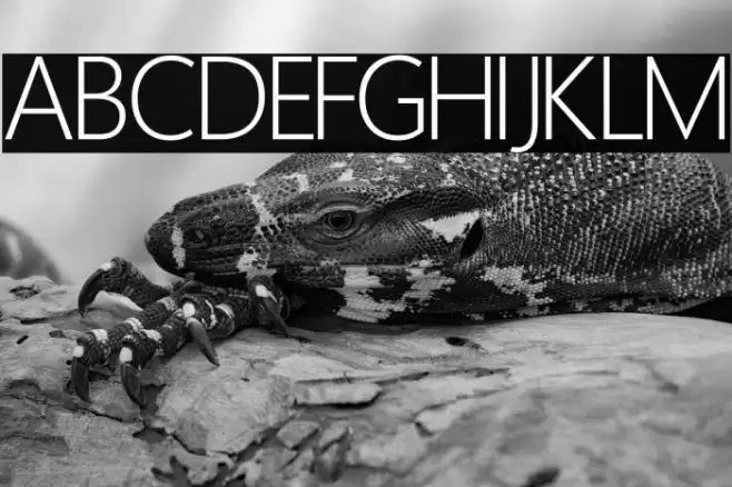 Homizio Nova Light Font examples