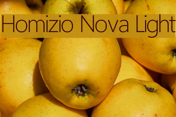 Homizio Nova Light Font examples