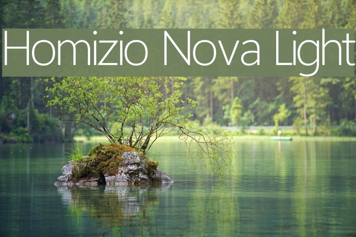 Homizio Nova Light Font examples