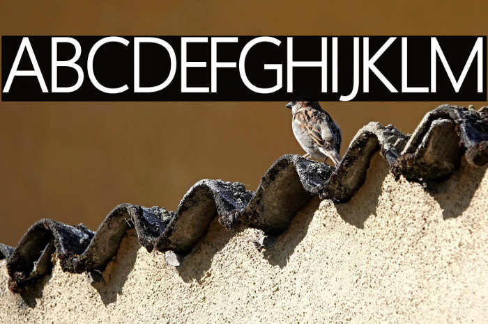 Homizio Nova Example 3