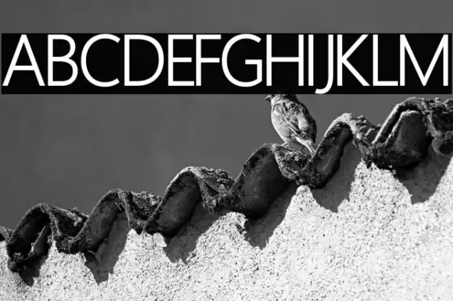 Homizio Nova フォント examples