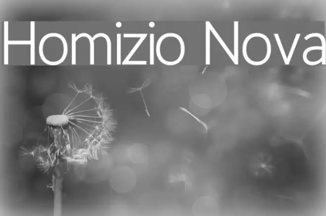 Homizio Nova Font examples
