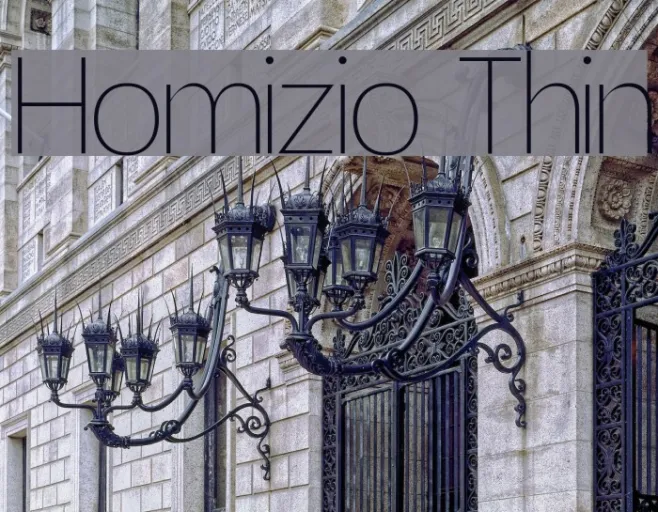 Homizio Thin Example 1