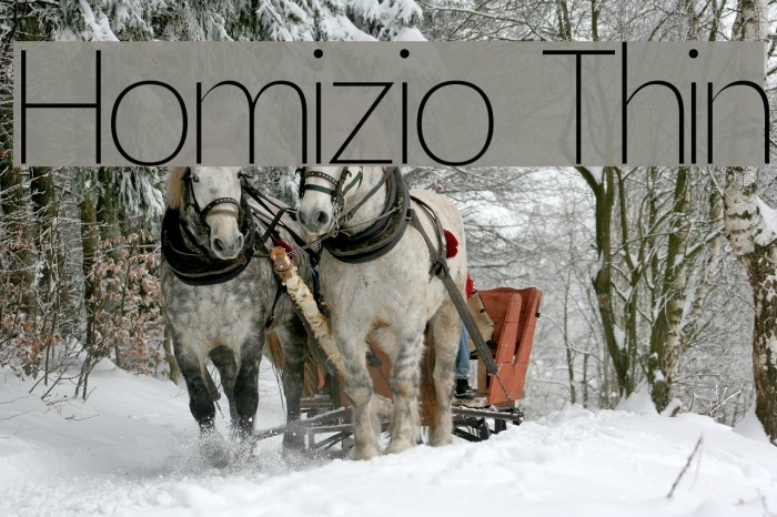 Homizio Thin Font examples
