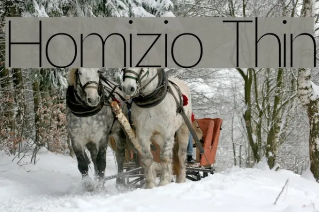 Homizio Thin Example 2
