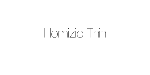 Homizio Thin Logo