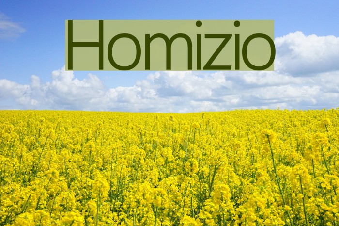 Homizio Font examples