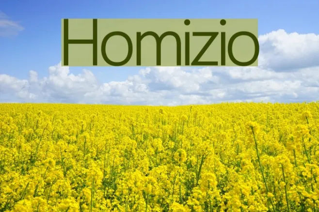 Homizio Example 3
