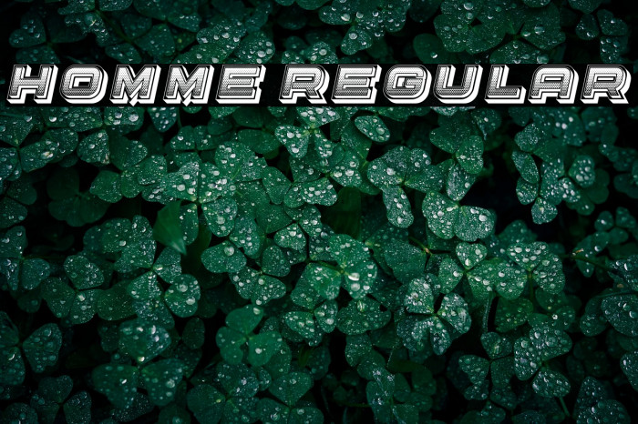 Homme Regular Example 2