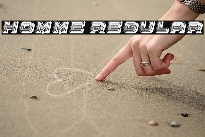 Homme Regular Example 3