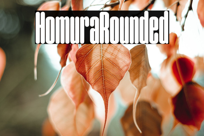 Homura Rounded Example 1