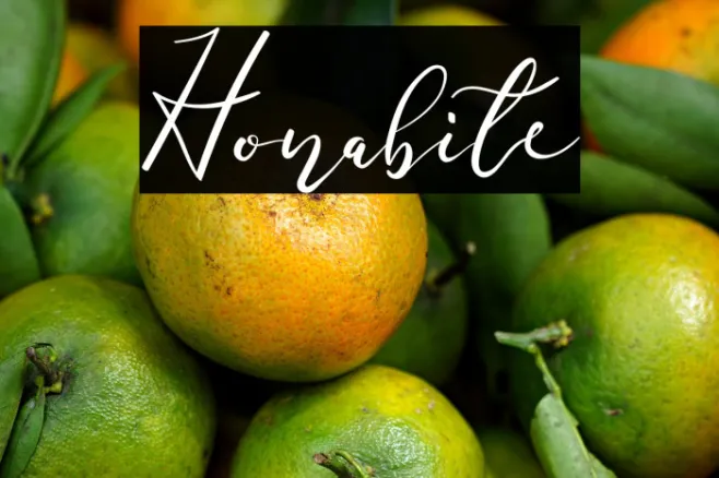 Honabite Example 2