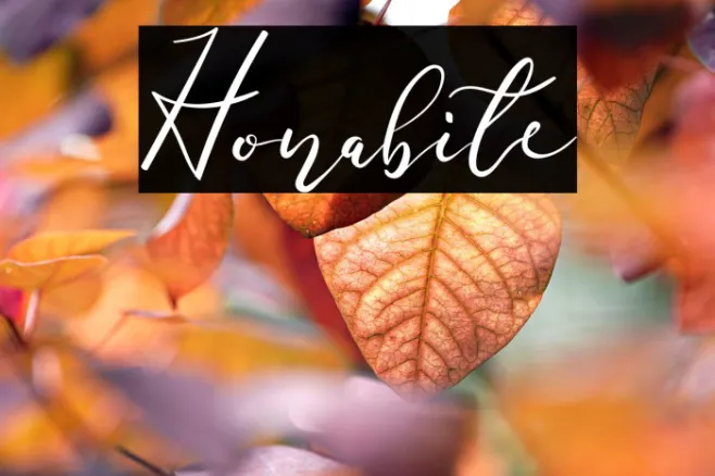Honabite Example 3
