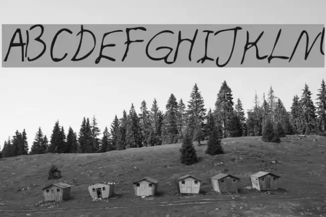 Honcho Font examples