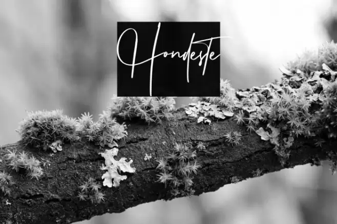 Hondeste Font examples