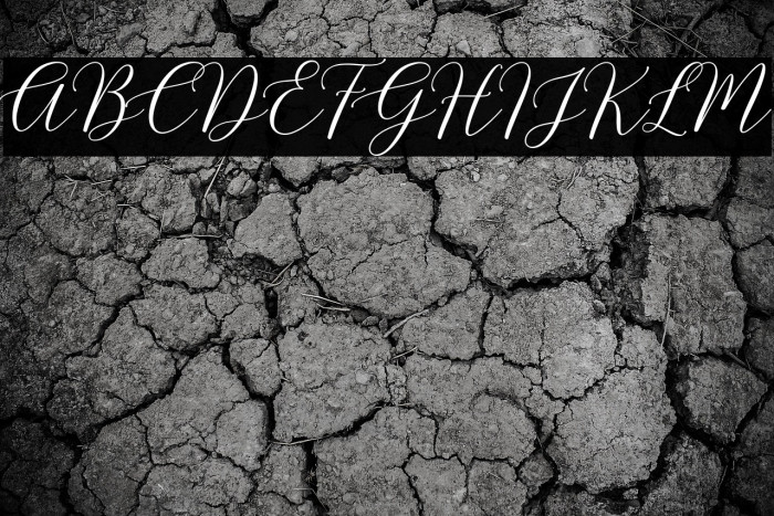 HondurasScriptDemo Example 3