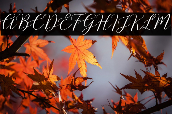 HondurasScriptDemo Example 1