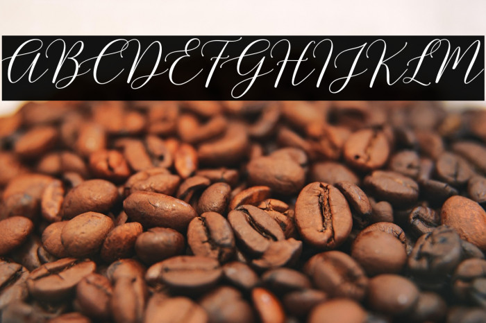 HondurasScriptDemo Example 3