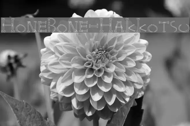 HoneBone-Hakkotsu Font examples