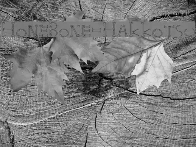 HoneBone-Hakkotsu Font examples