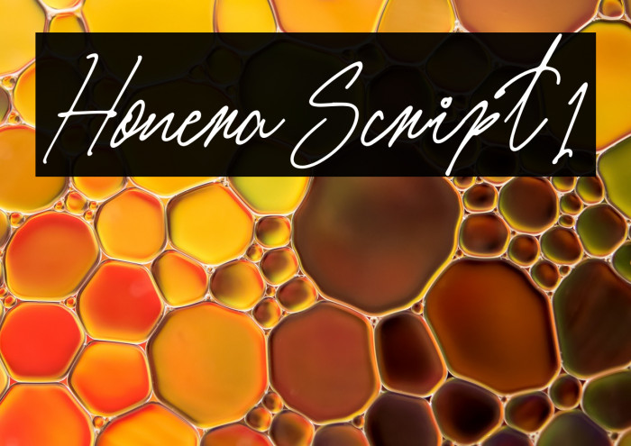 Honera Script1 Example 1