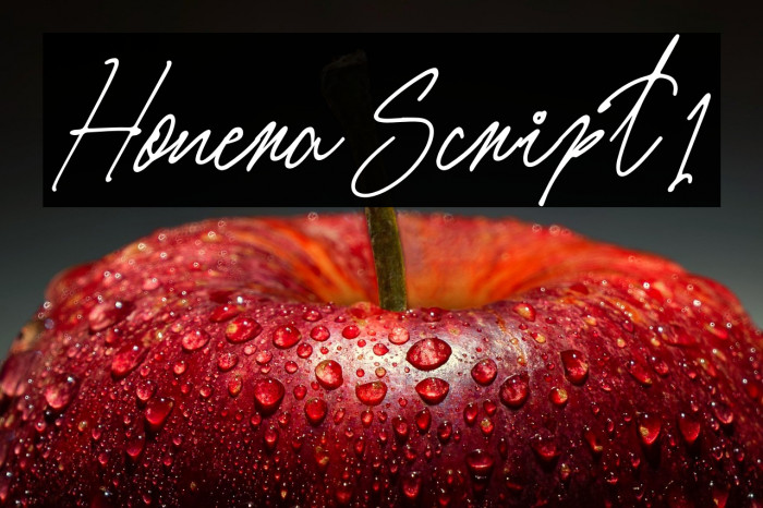 Honera Script1 Example 2