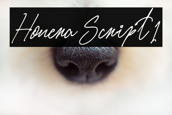 Honera Script1 Example 3