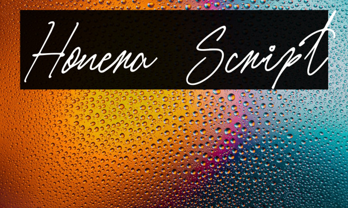 Honera Script Example 1