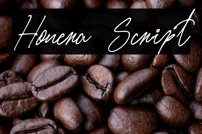 Honera Script Example 3