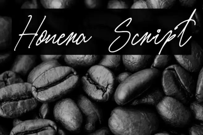 Honera Script خط examples
