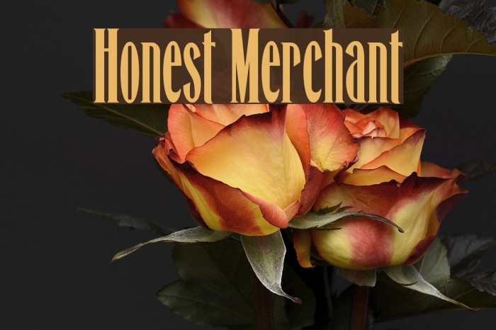 Honest Merchant Font examples
