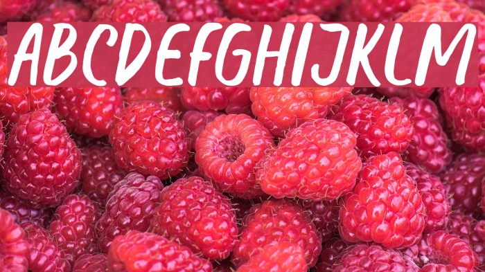 Honest Font examples