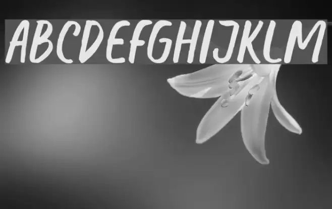 Honest Font examples