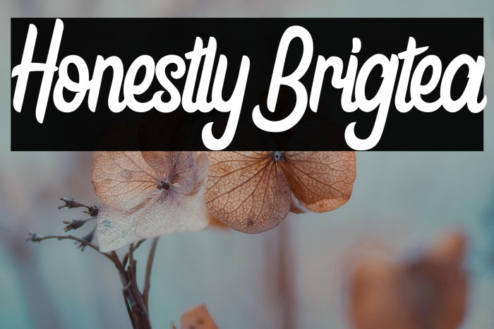 Honestly Brigtea Example 2