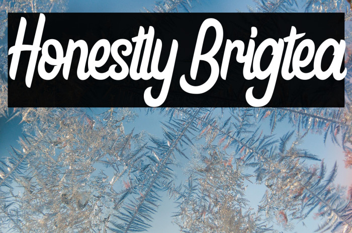 Honestly Brigtea Example 3