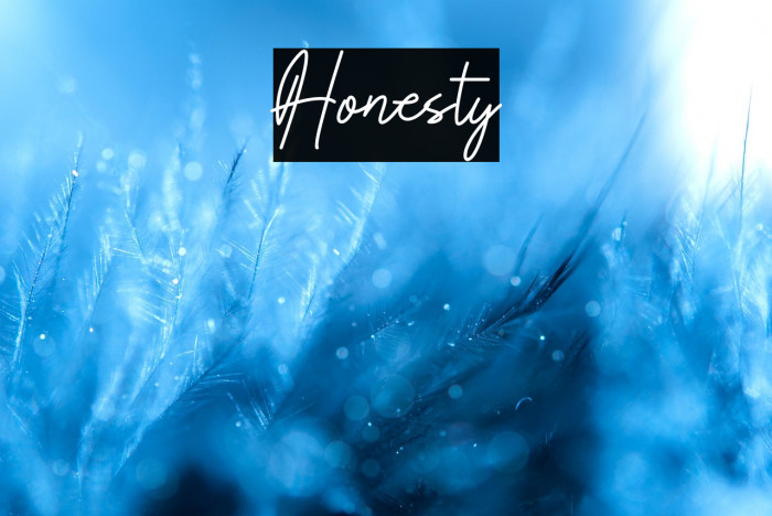 Honesty Example 2