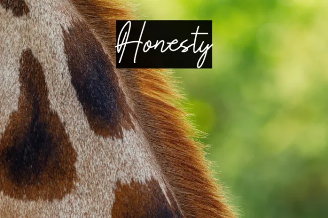 Honesty Example 3
