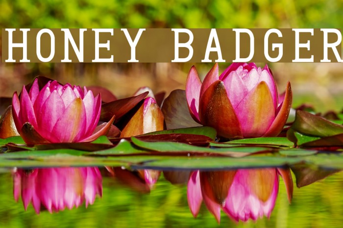 Honey Badger Font examples