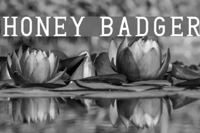 Honey Badger Font examples