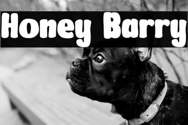 Honey Barry Font examples