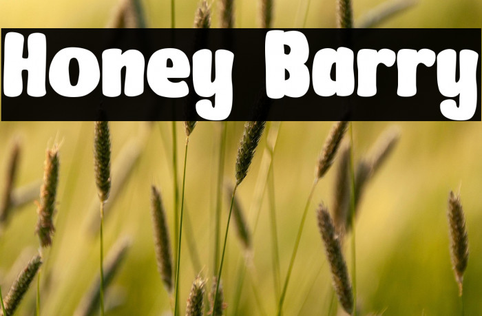 Honey Barry Example 3