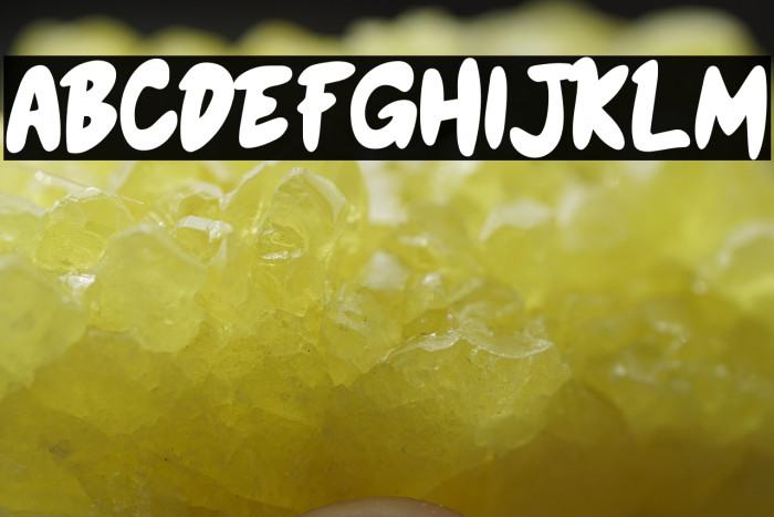 Honey Bear Bold Example 1