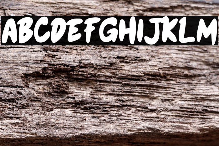 Honey Bear Bold Example 2